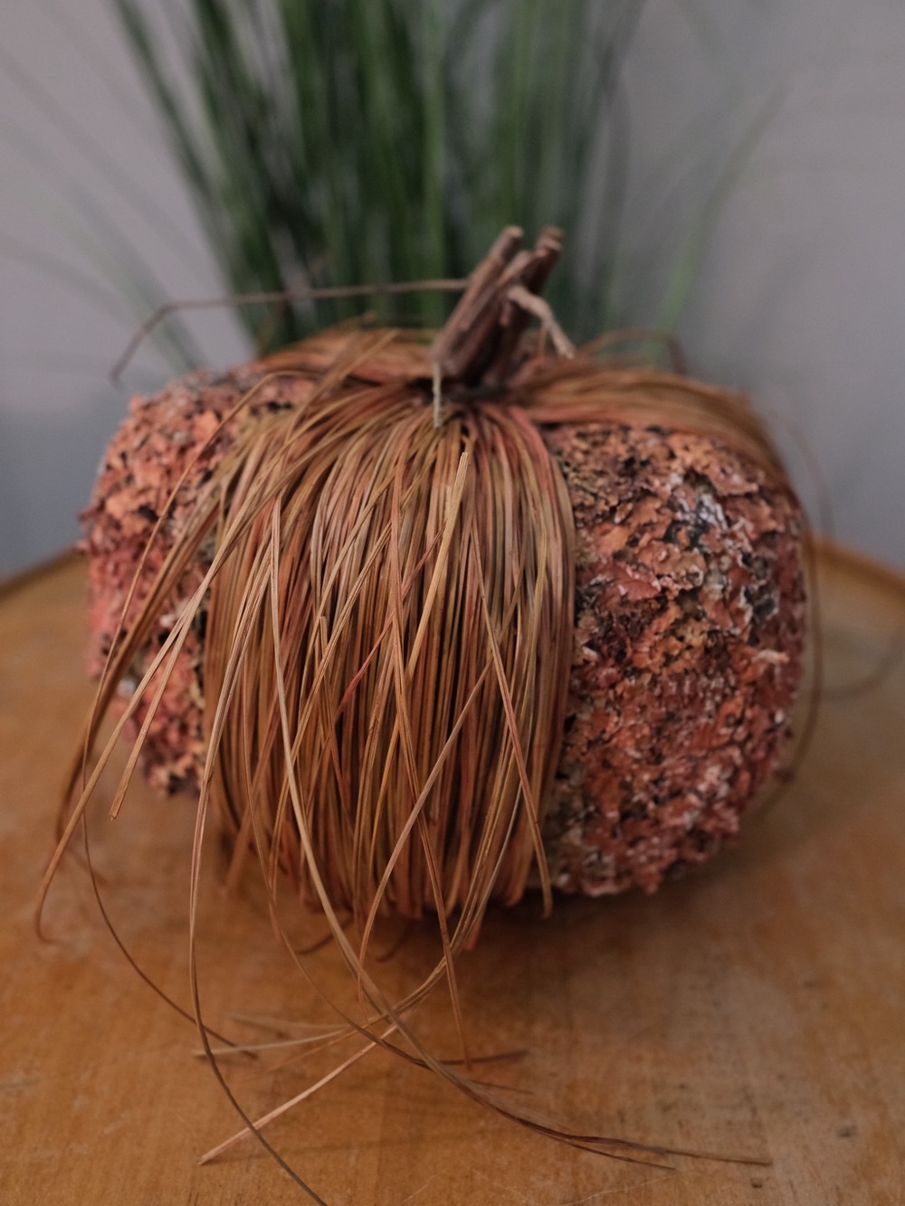 Rustic Natural Botanical Pumpkin Fall Décor